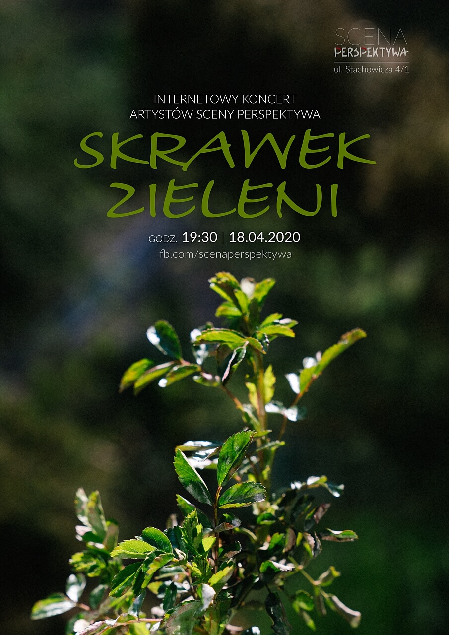 Koncert - Skrawek zieleni